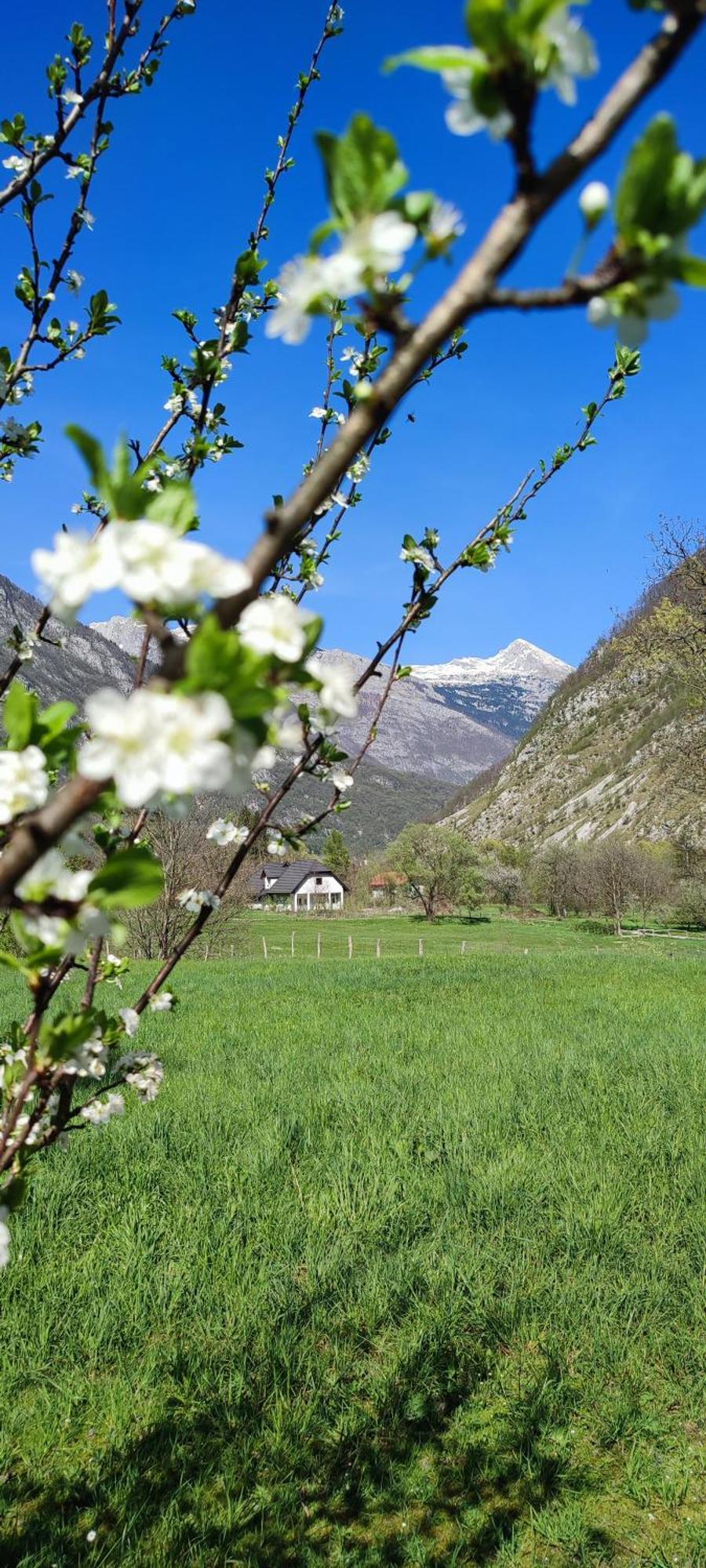 Apartma Soca Oasis Srpenica Buitenkant foto