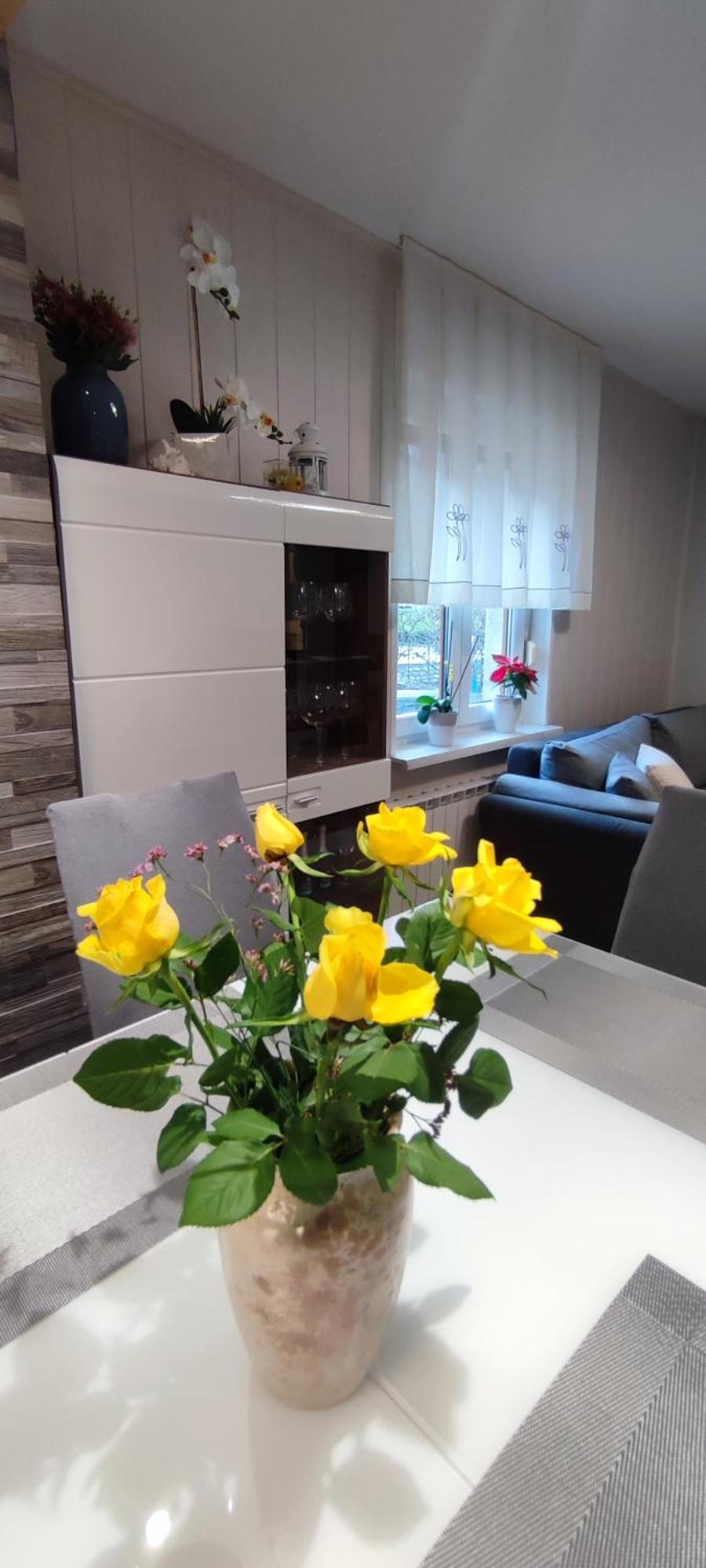 Apartma Soca Oasis Srpenica Buitenkant foto